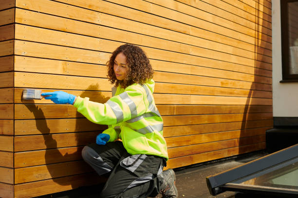 Best Stone Veneer Siding  in Buckhannon, WV